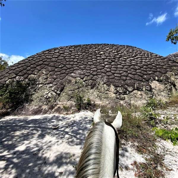 faire une randonnée à cheval au Brésil