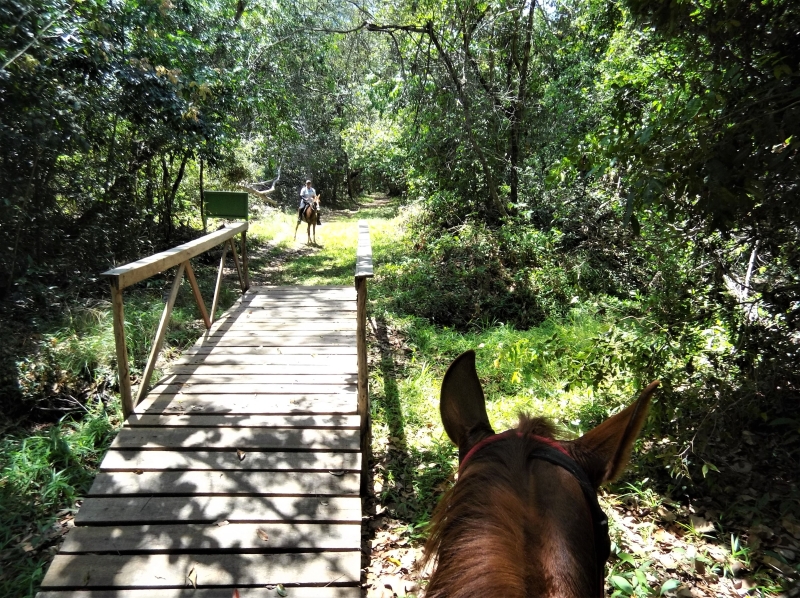 randonnée itinérante à cheval Brésil