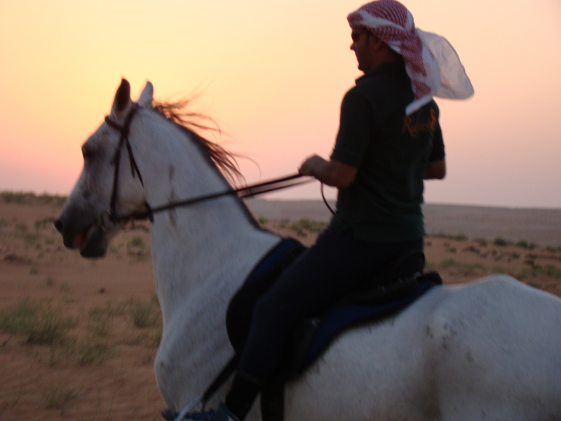 Oman à Cheval
