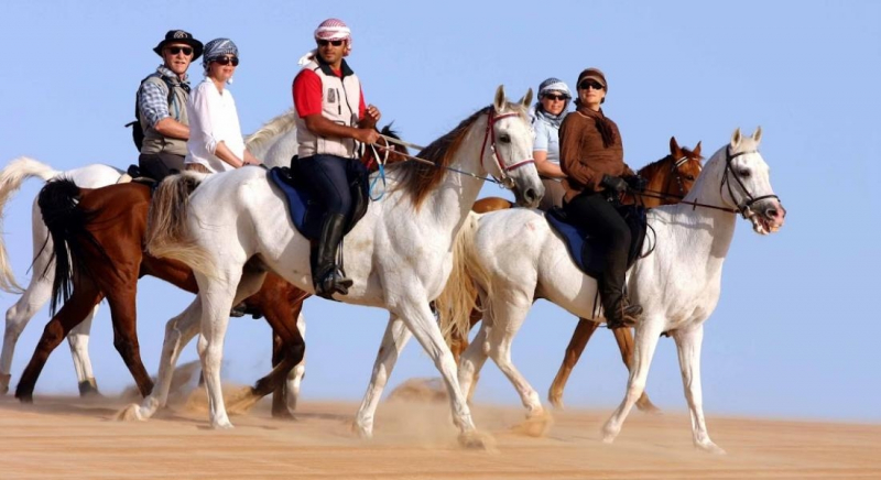 cheval Oman