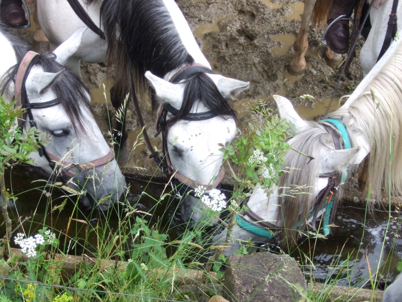 Espagne rando cheval