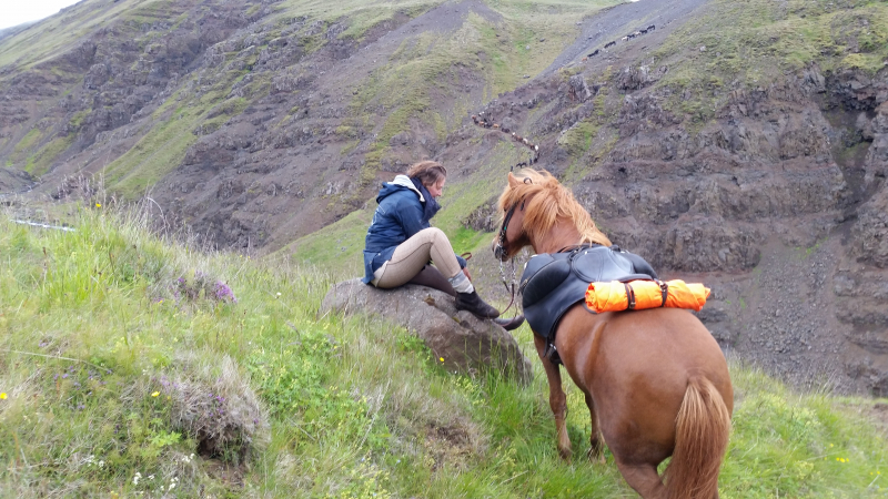 voyage à cheval en Islande