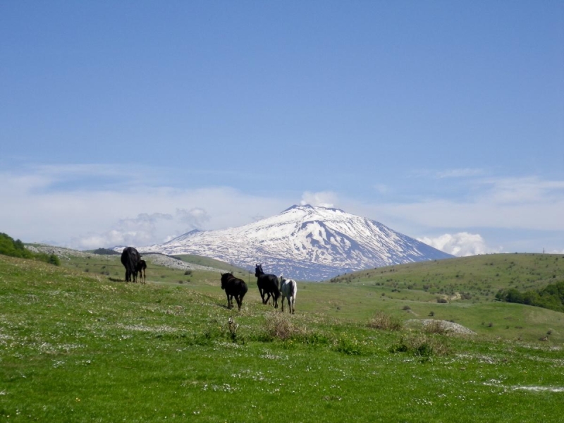 rando équestre Sicile