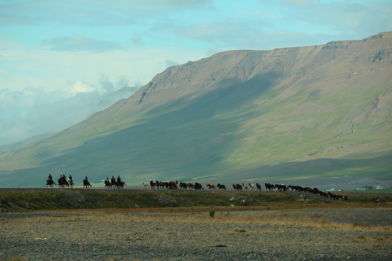 semaine à cheval en Islande