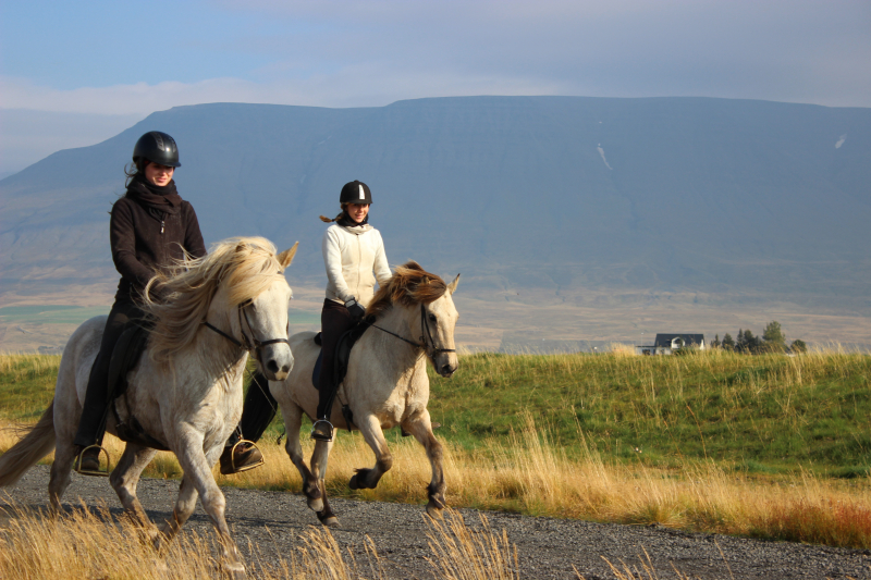 vacances à cheval en Islande