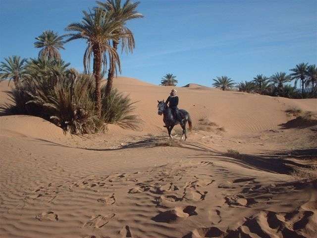 rando cheval desert Maroc