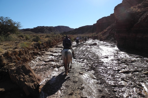 rando cheval etats unis ouest