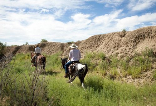 travail à cheval dans un ranch Colorado