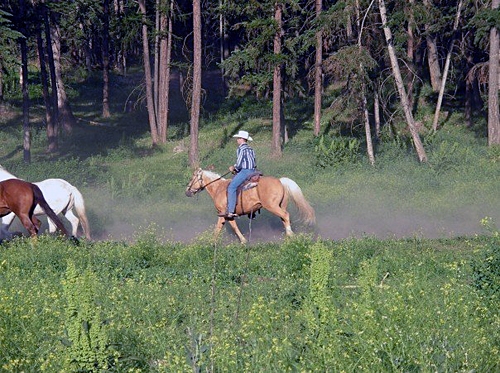 ranch équestre au Canada