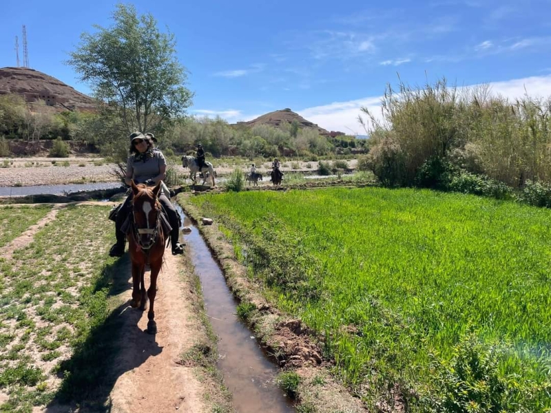 rando cheval au Maroc