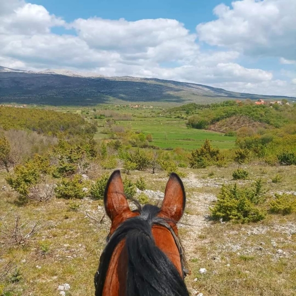 Croatie à cheval