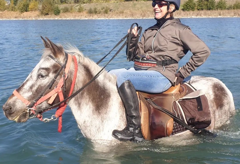 à cheval en randonnée en Provence