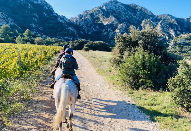 horse riding through Provence