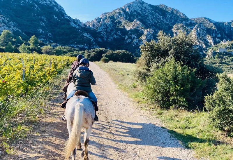 horse riding through Provence