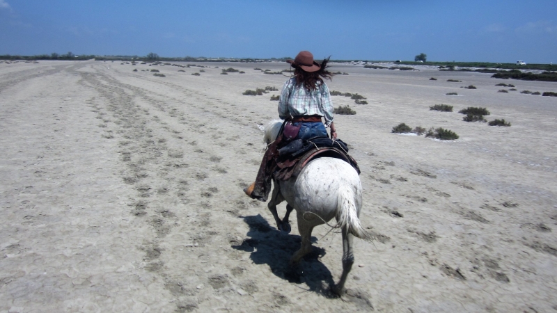 horseback trail riding in Camargue