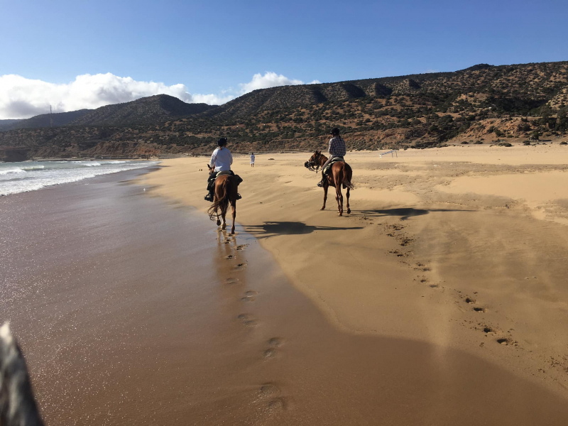 rando cheval Maroc plage