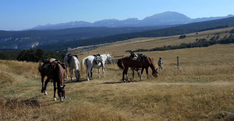 semaine rando à cheval Vercors