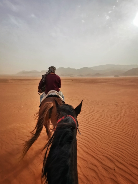 Jordanie rando équestre