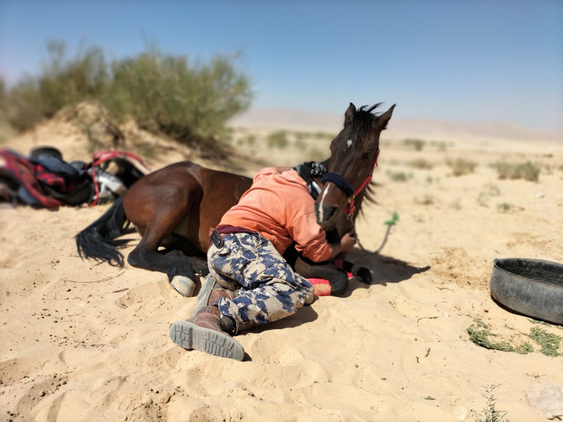 randonnee a cheval semaine en Jordanie