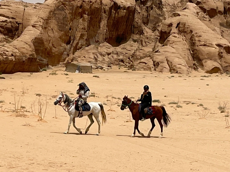 semaine rando à cheval Jordanie