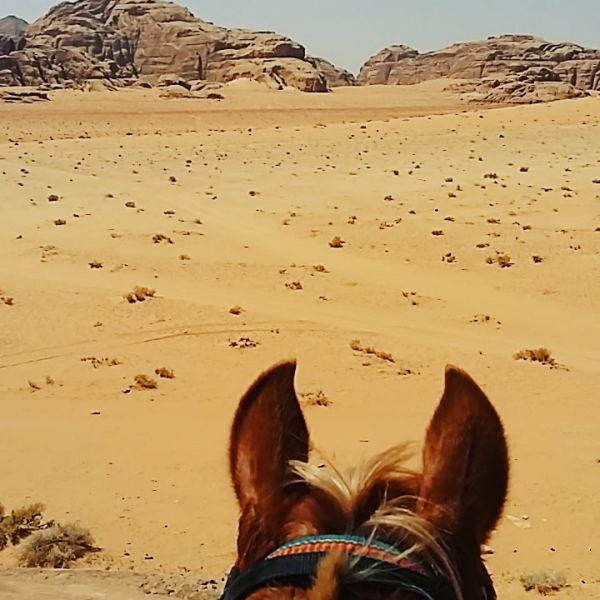 rando a cheval dans le Wadi Rum Jordanie