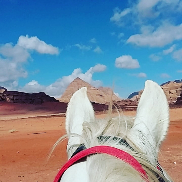equitation en Jordanie