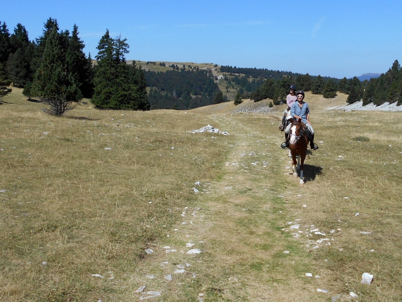 A cheval dans le Vercors