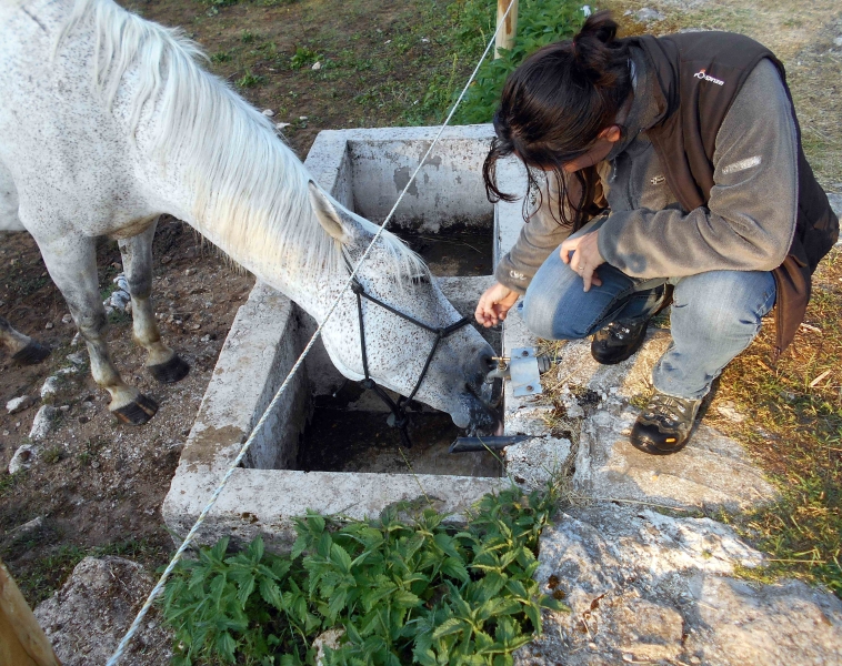 semaine rando cheval Vercors