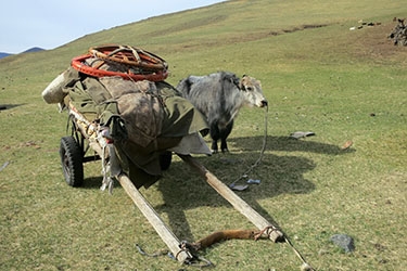 voyage a cheval en Mongolie