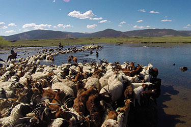 randonnee equestre Mongolie