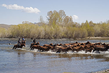 découvrir la Mongolie a cheval
