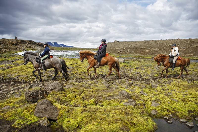 randonnée équestre Islande