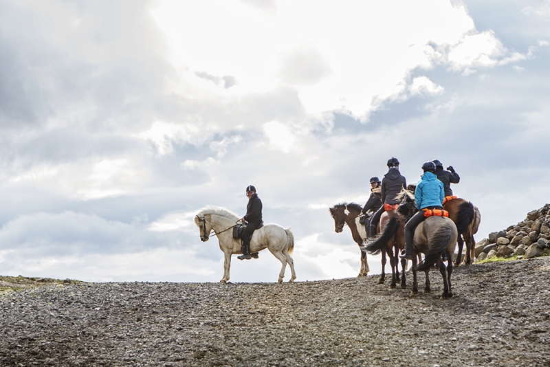 semaine à cheval en Islande