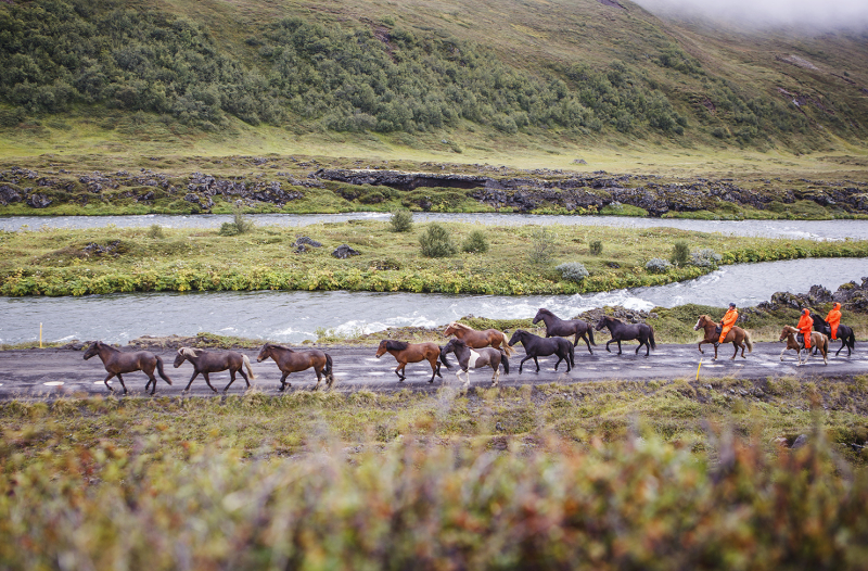 rando cheval Islande