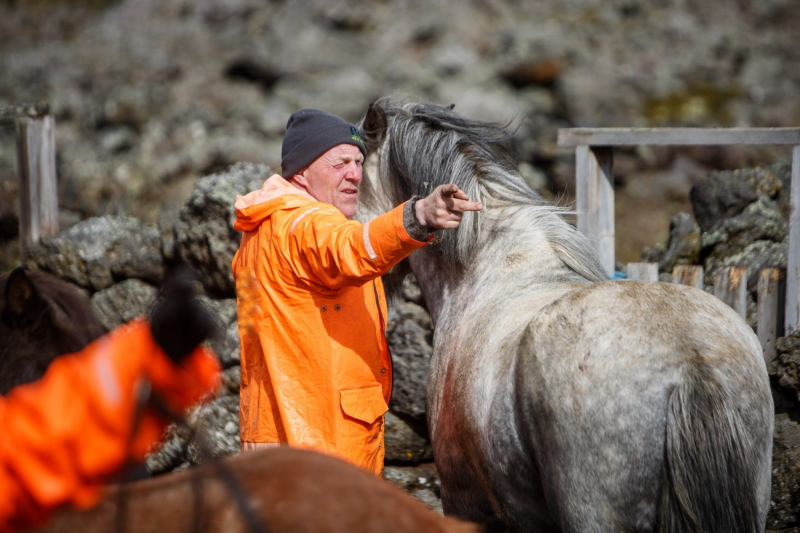 vacances à cheval Islande