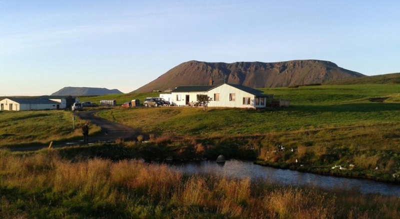 Islande rando à cheval