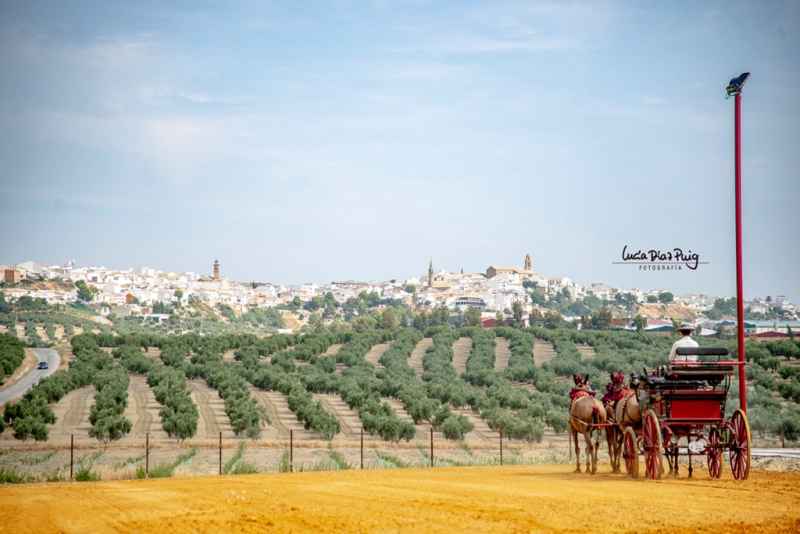 stage doma vaquera Espagne