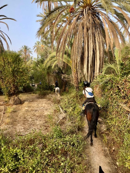 rando cheval Maroc