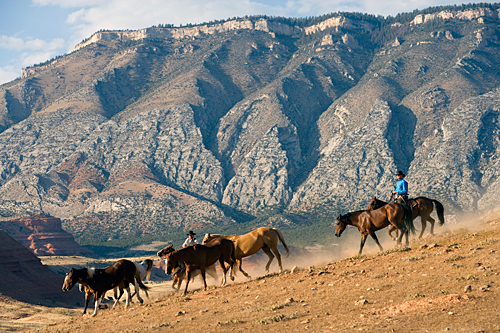 randonnée à cheval dans le Wyoming