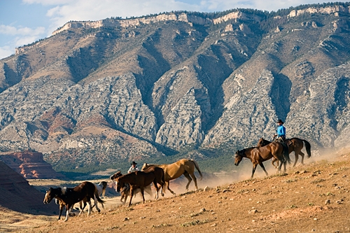 randonnée à cheval dans le Wyoming