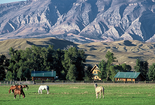 séjour ranche cheval Wyoming
