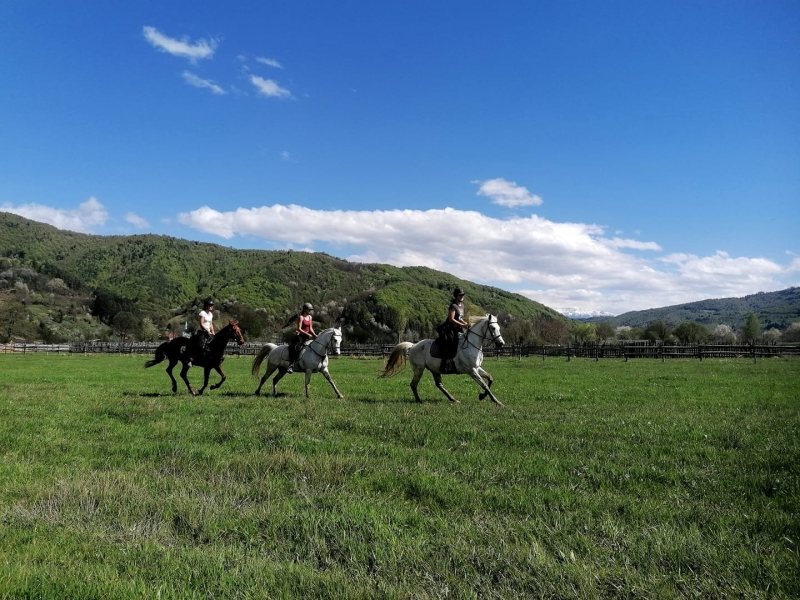 vacances à cheval en Roumanie