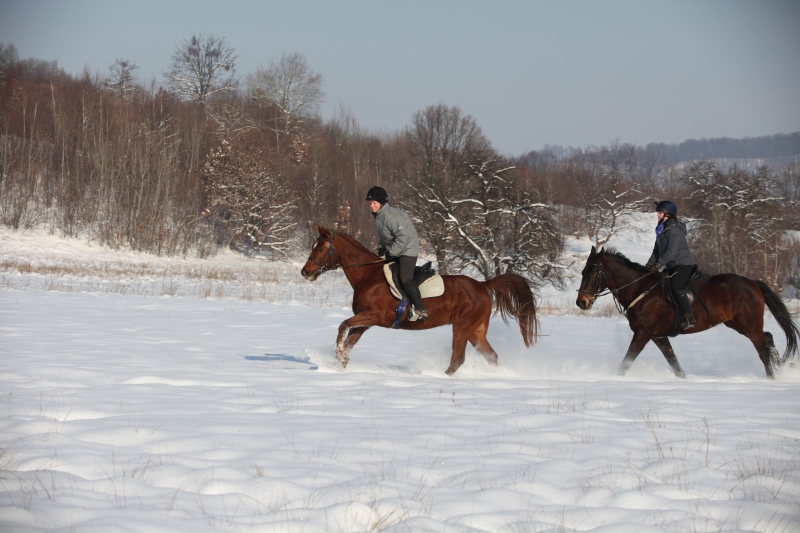 Roumanie à cheval dans la neige