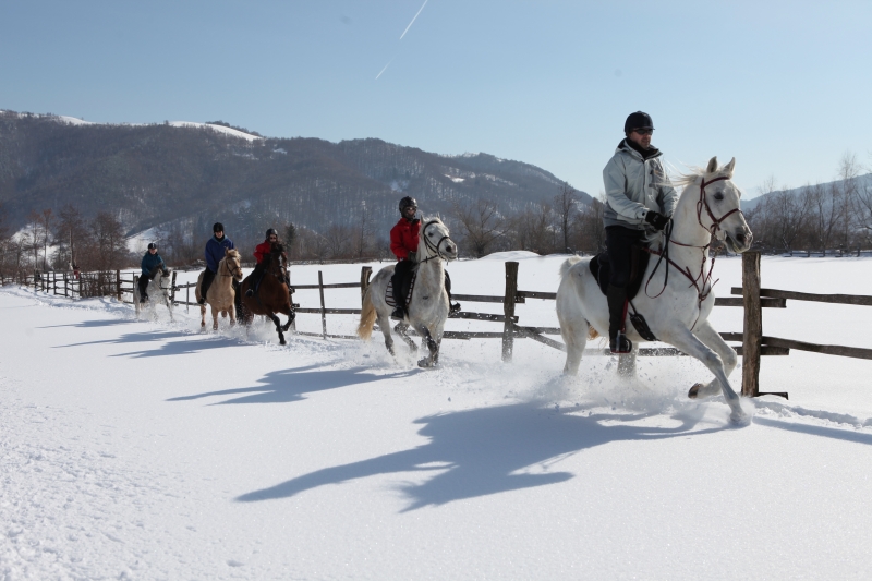 rando à cheval neige en hiver