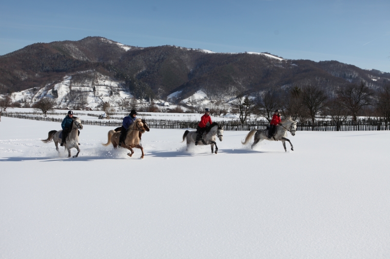 rando à cheval dans la neige en Roumanie