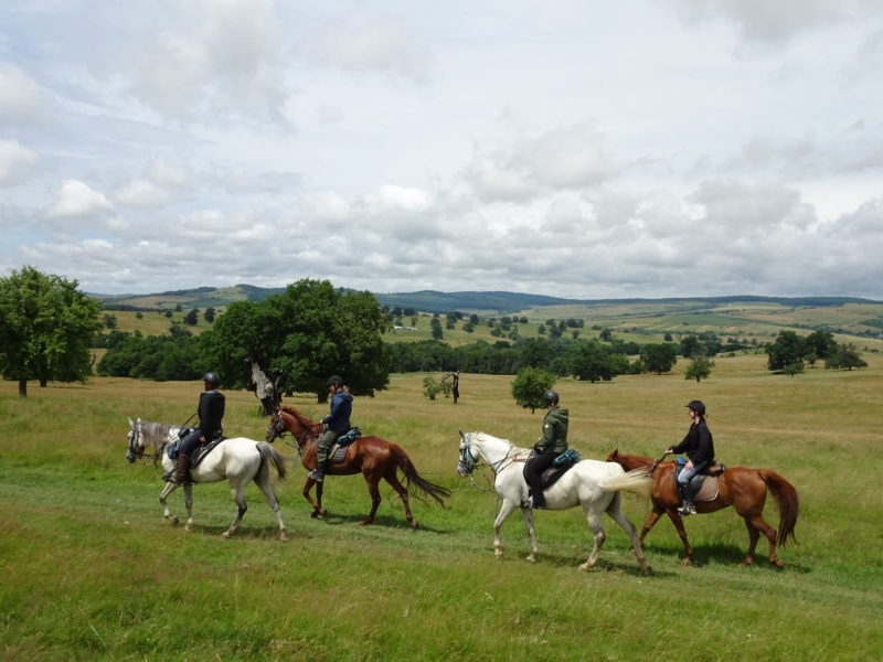 trek a cheval en Roumanie