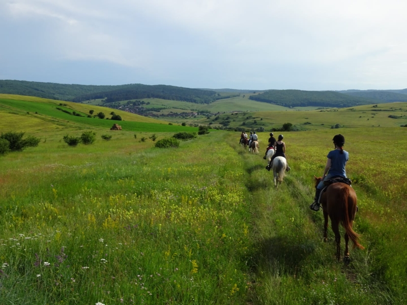 semaine rando cheval Roumanie