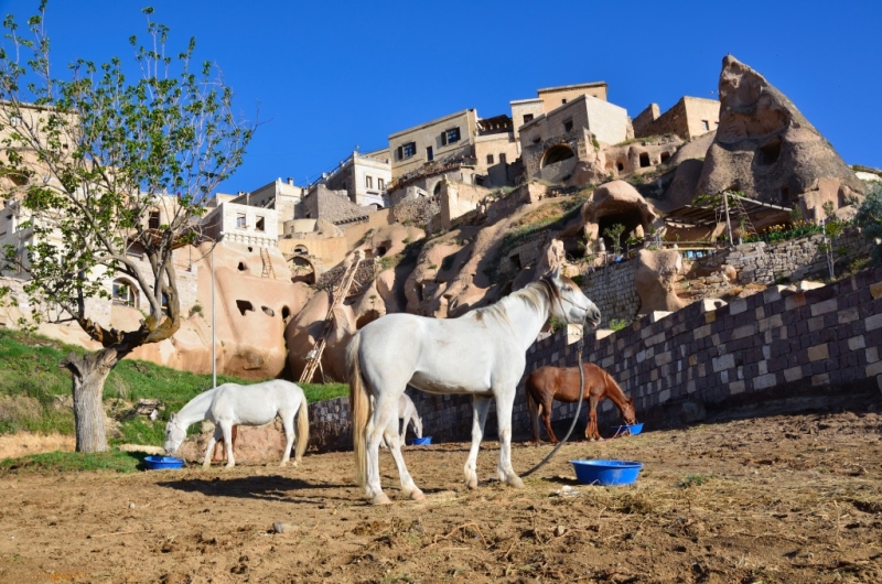 semaine à cheval en Cappadoce