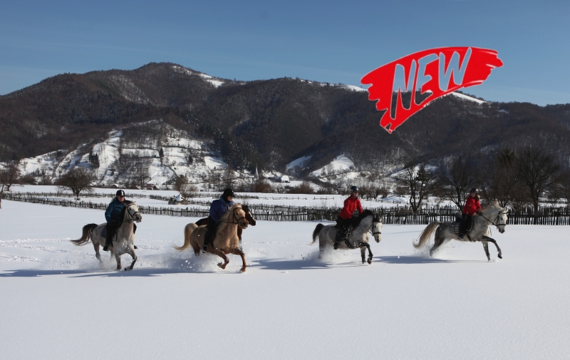 rando cheval hiver Roumanie