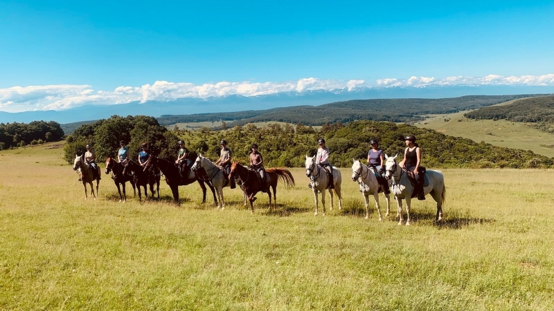 rando cheval Transilvanie